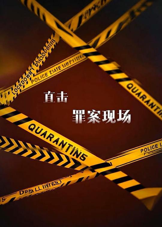 直击罪案现场 第二季