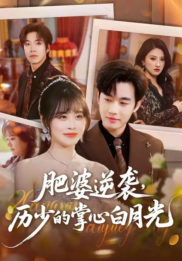 肥婆逆袭，历少的掌心白月光