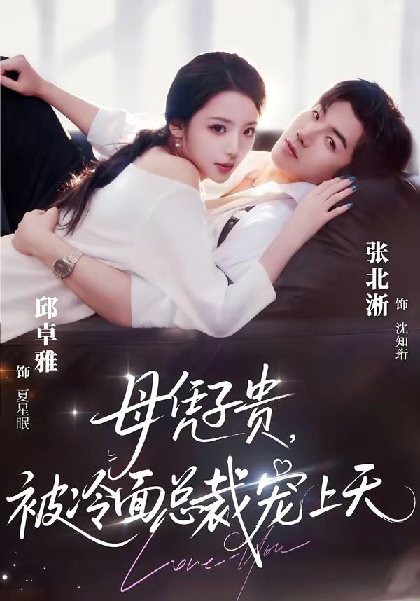 母凭子贵，被冷面总裁宠上天