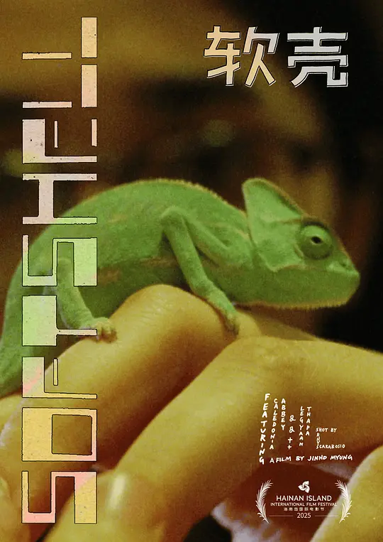 软壳