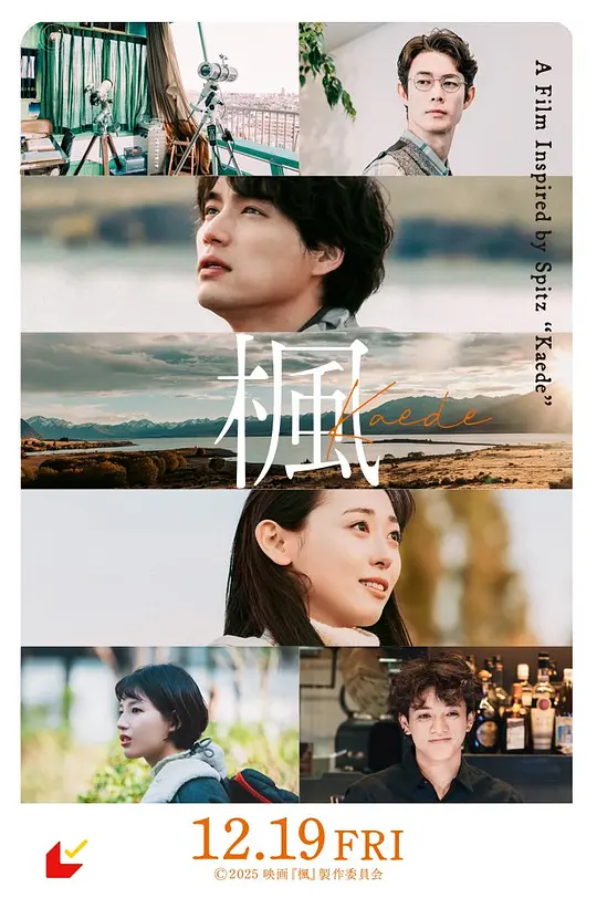 枫